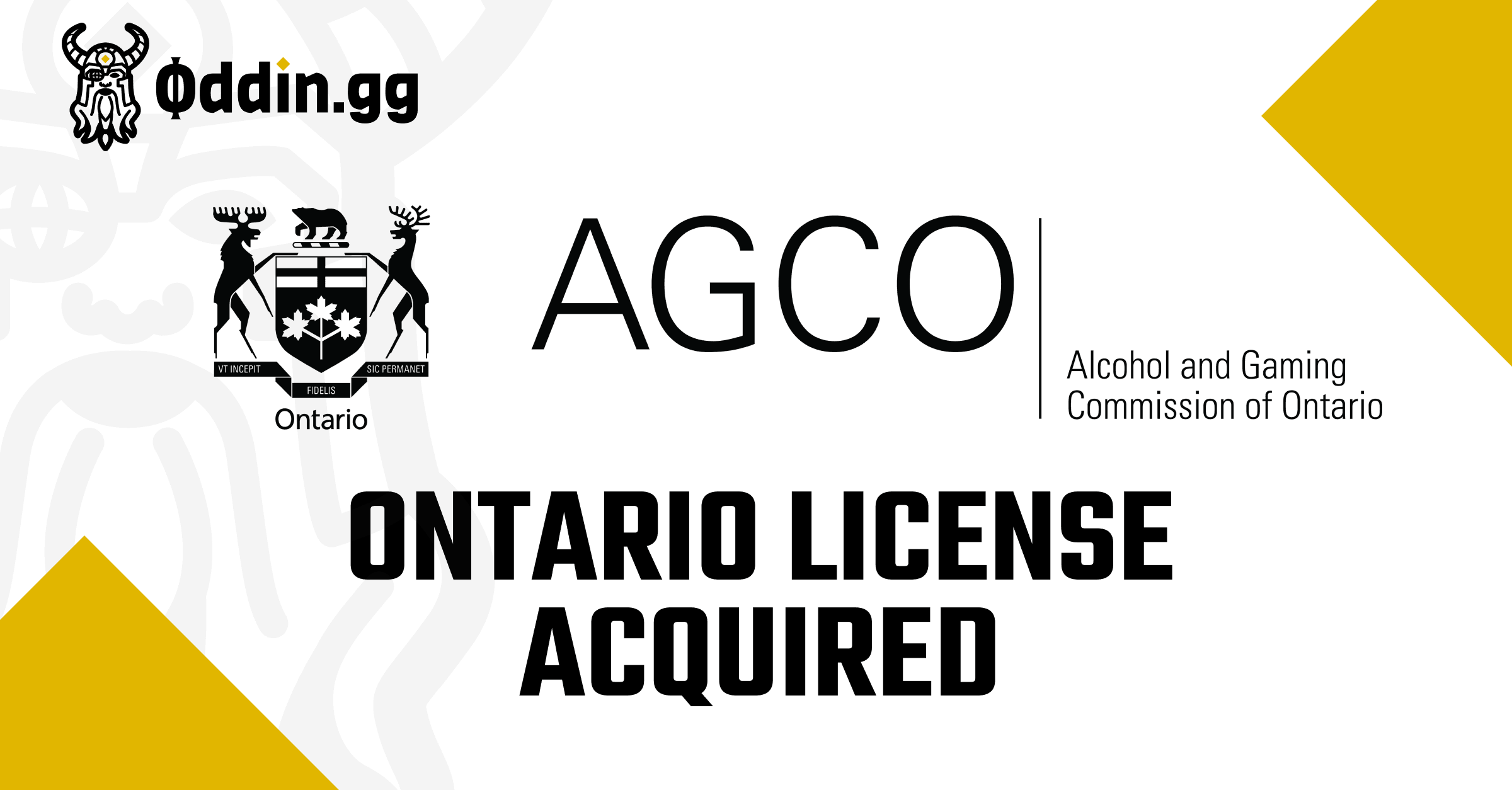 esports-betting-services-provider-oddingg-secures-ontario-canada-betting-license