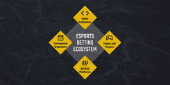 Getting Started with Risk Management in Esports